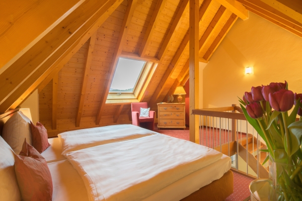 Land-gut-Hotel Hotel Felsentor